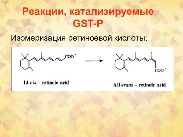 Реакции, катализируемые GST-P Изомеризация ретиноевой кислоты: