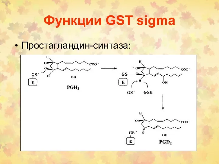 Функции GST sigma Простагландин-синтаза: