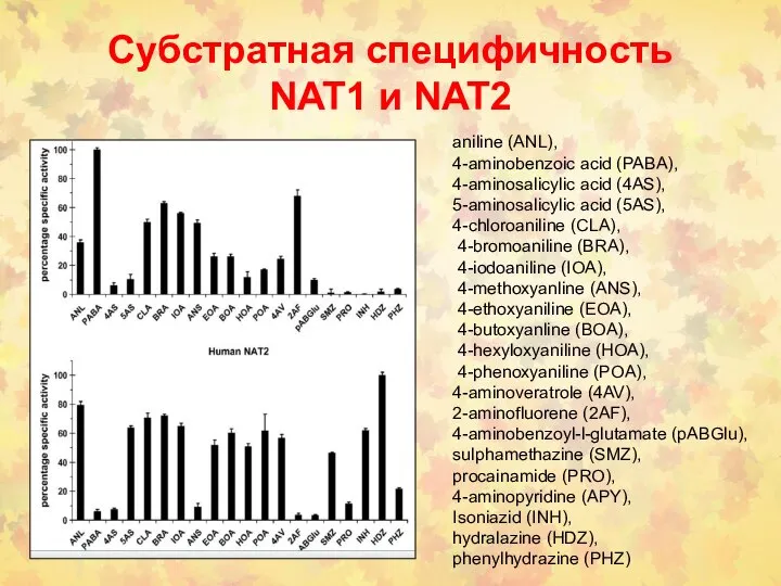 Субстратная специфичность NAT1 и NAT2 aniline (ANL), 4-aminobenzoic acid (PABA), 4-aminosalicylic