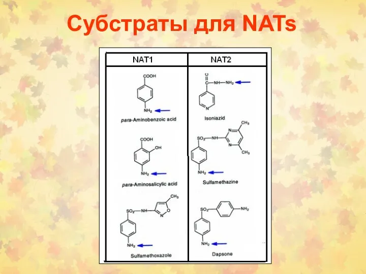 Субстраты для NATs