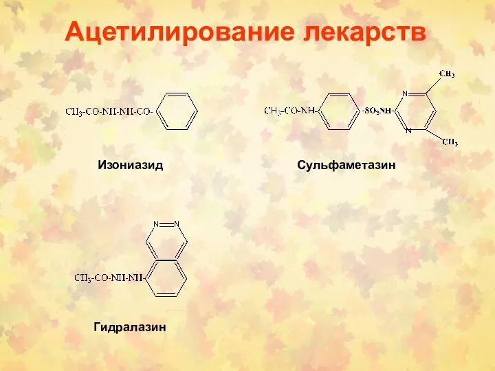 Ацетилирование лекарств Изониазид Сульфаметазин Гидралазин