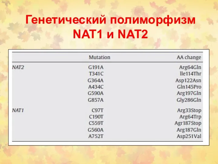 Генетический полиморфизм NAT1 и NAT2