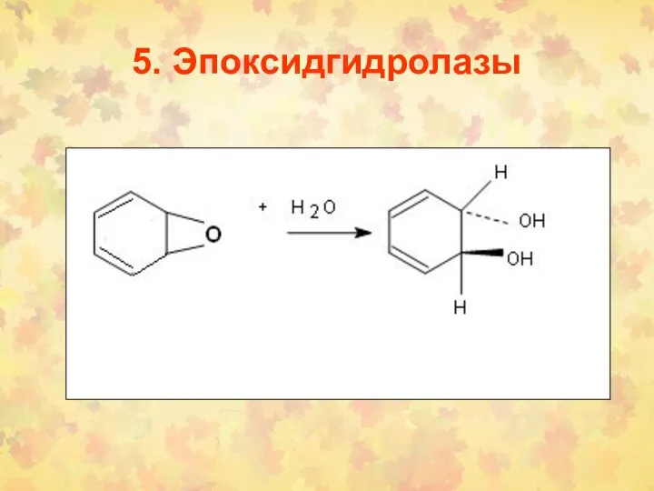 5. Эпоксидгидролазы