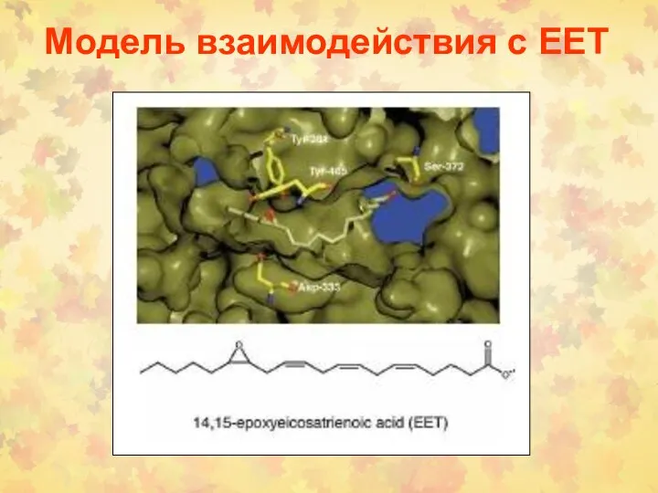 Модель взаимодействия с ЕЕТ