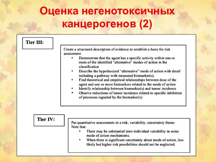 Оценка негенотоксичных канцерогенов (2)