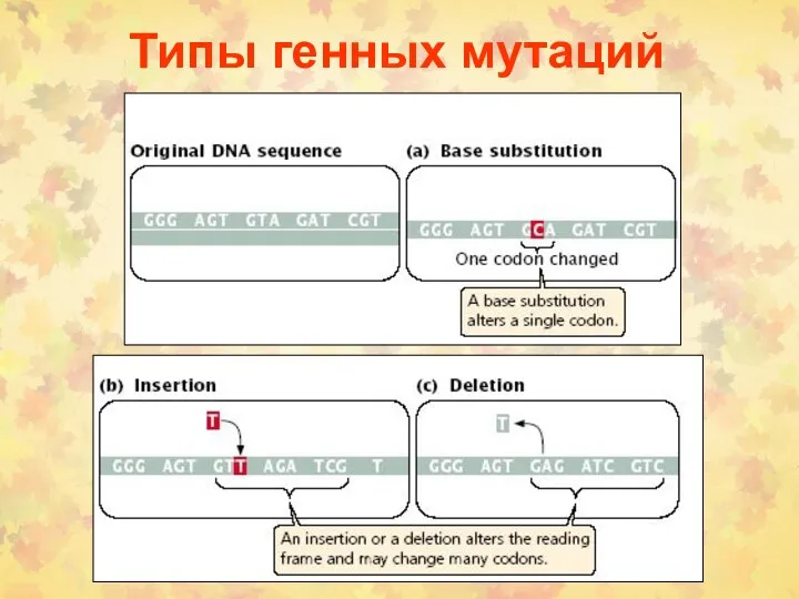 Типы генных мутаций
