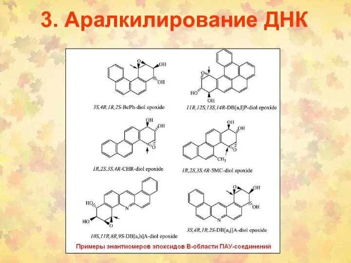 3. Аралкилирование ДНК