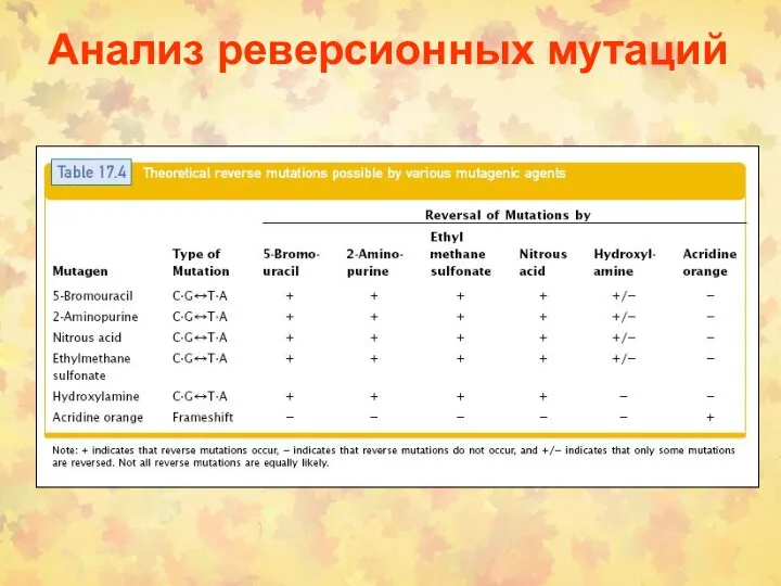 Анализ реверсионных мутаций