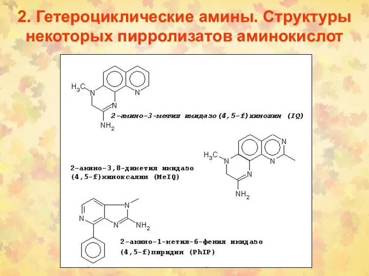 2. Гетероциклические амины. Структуры некоторых пирролизатов аминокислот