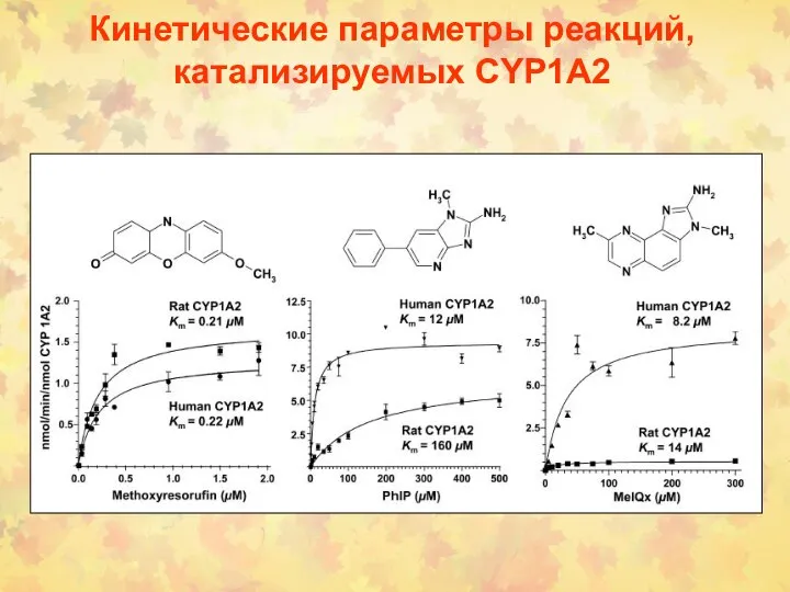 Кинетические параметры реакций, катализируемых CYP1A2