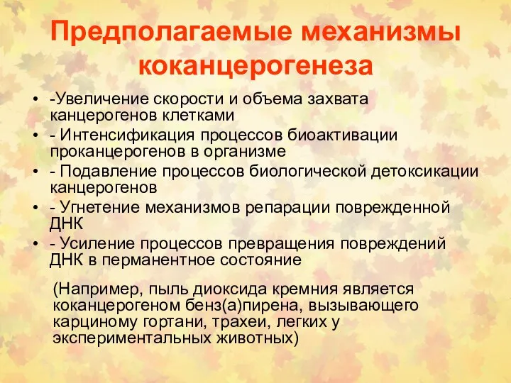 Предполагаемые механизмы коканцерогенеза -Увеличение скорости и объема захвата канцерогенов клетками -