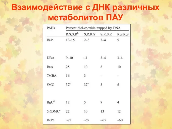 Взаимодействие с ДНК различных метаболитов ПАУ