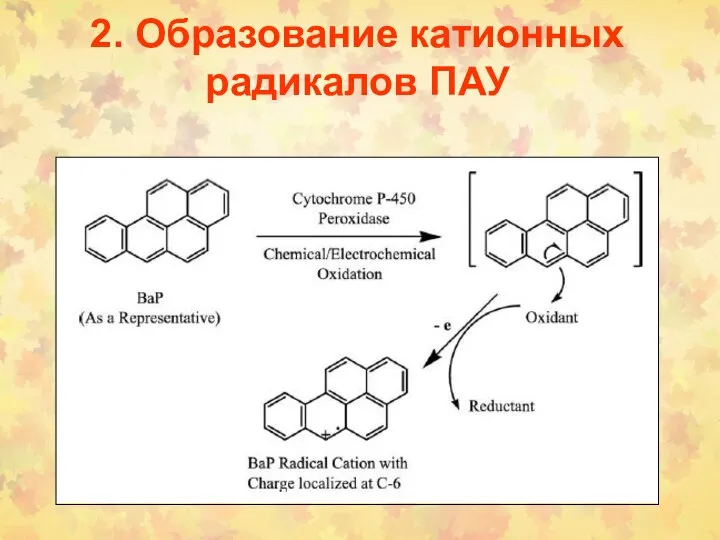 2. Образование катионных радикалов ПАУ