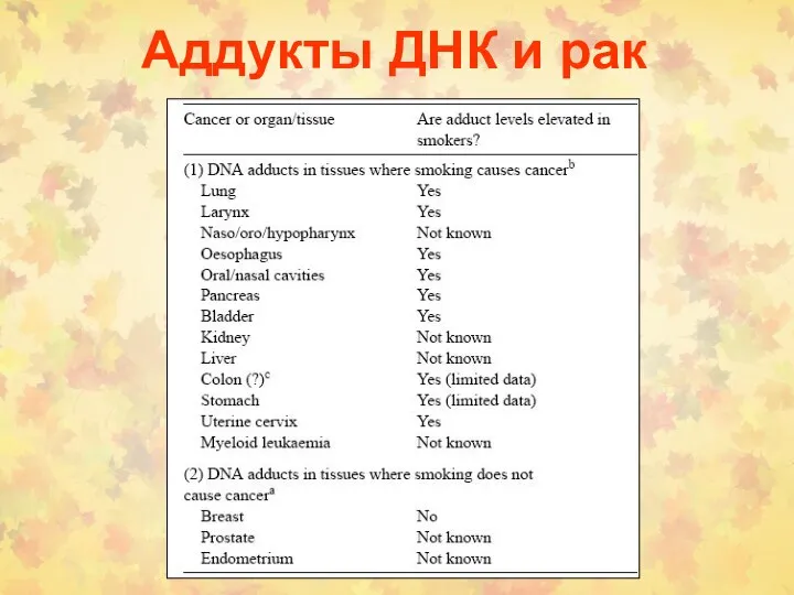 Аддукты ДНК и рак