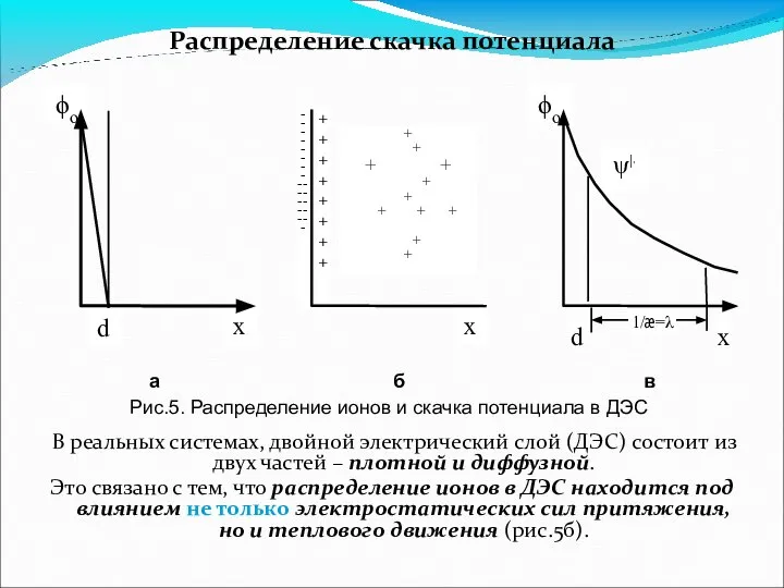 Распределение скачка потенциала В реальных системах, двойной электрический слой (ДЭС) состоит