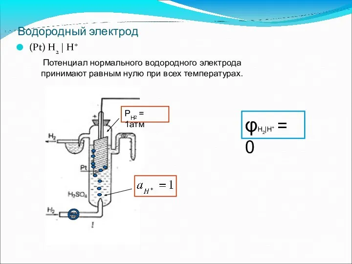 Водородный электрод (Pt) H2 | H+ Потенциал нормального водородного электрода принимают