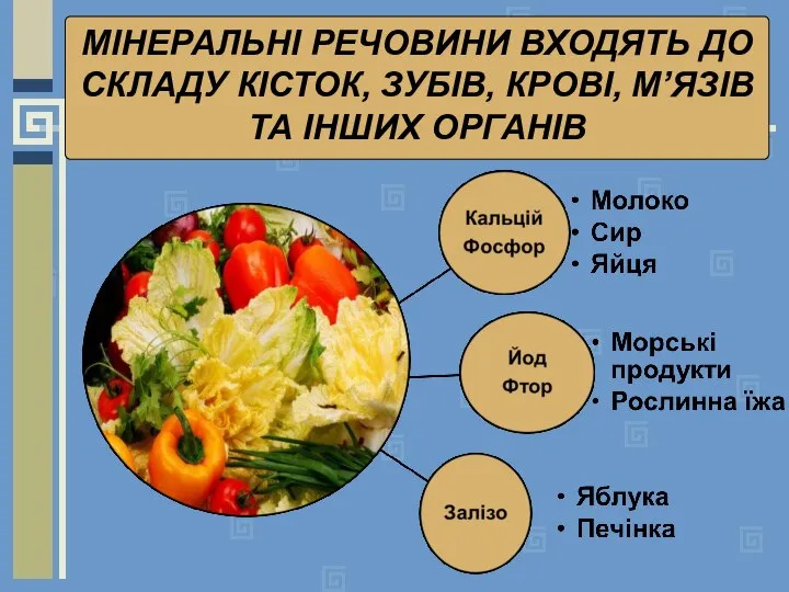 МІНЕРАЛЬНІ РЕЧОВИНИ ВХОДЯТЬ ДО СКЛАДУ КІСТОК, ЗУБІВ, КРОВІ, М’ЯЗІВ ТА ІНШИХ ОРГАНІВ