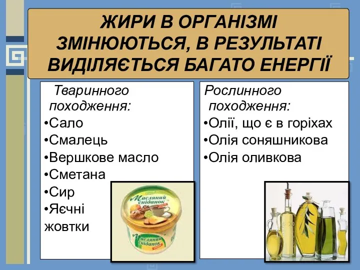 ЖИРИ В ОРГАНІЗМІ ЗМІНЮЮТЬСЯ, В РЕЗУЛЬТАТІ ВИДІЛЯЄТЬСЯ БАГАТО ЕНЕРГІЇ Тваринного походження: