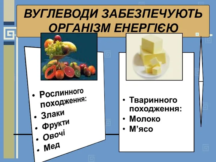 ВУГЛЕВОДИ ЗАБЕЗПЕЧУЮТЬ ОРГАНІЗМ ЕНЕРГІЄЮ