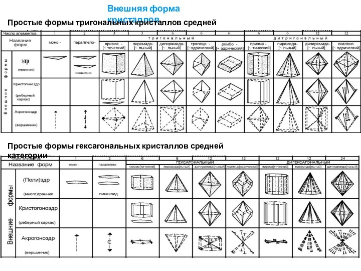 Внешняя форма кристаллов. Простые формы тригональных кристаллов средней категории Простые формы гексагональных кристаллов средней категории