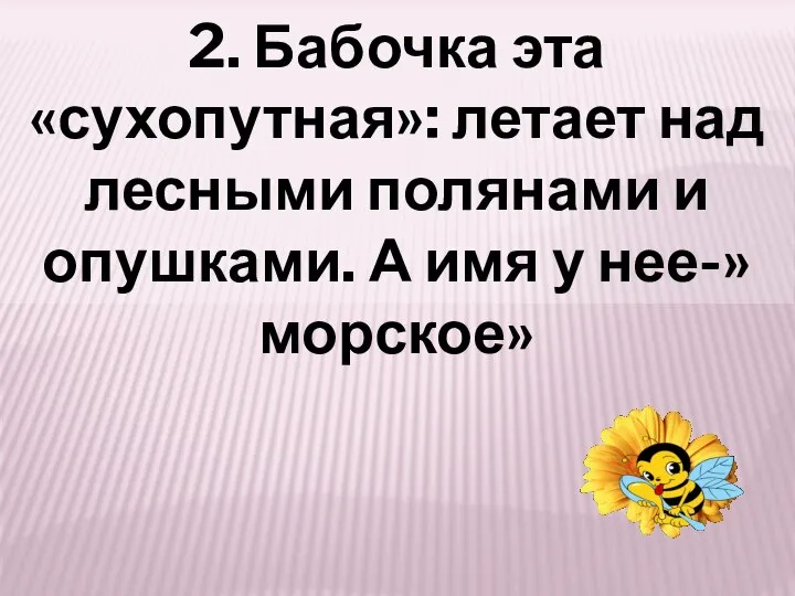 2. Бабочка эта «сухопутная»: летает над лесными полянами и опушками. А имя у нее-»морское»