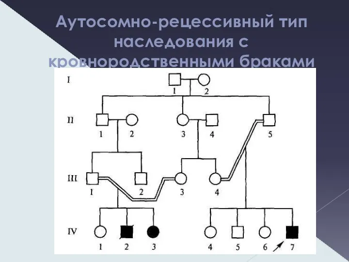 Аутосомно-рецессивный тип наследования с кровнородственными браками