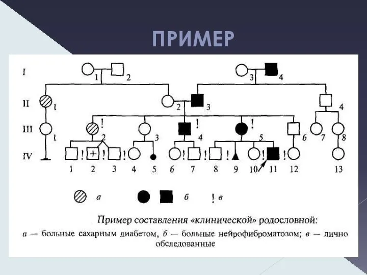 ПРИМЕР