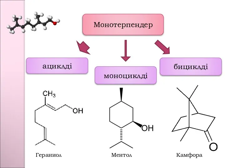 Монотерпендер ациклді моноциклді бициклді Гераниол Ментол Камфора