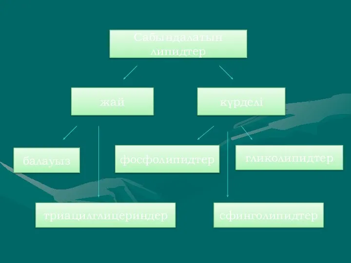Сабындалатын липидтер жай күрделі балауыз триацилглицериндер фосфолипидтер сфинголипидтер гликолипидтер