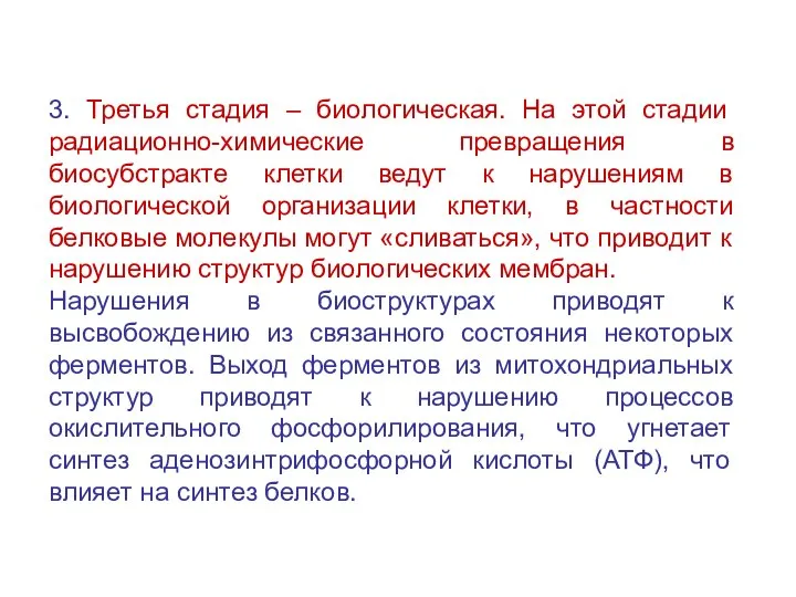 3. Третья стадия – биологическая. На этой стадии радиационно-химические превращения в