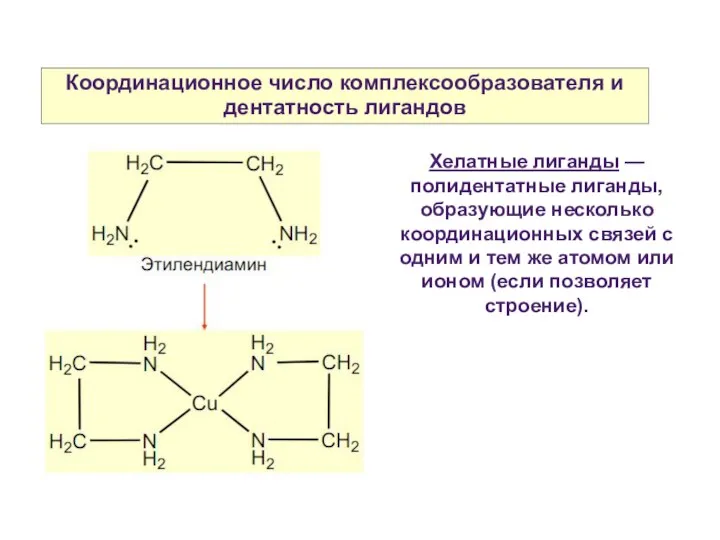 Координационное число комплексообразователя и дентатность лигандов Хелатные лиганды — полидентатные лиганды,
