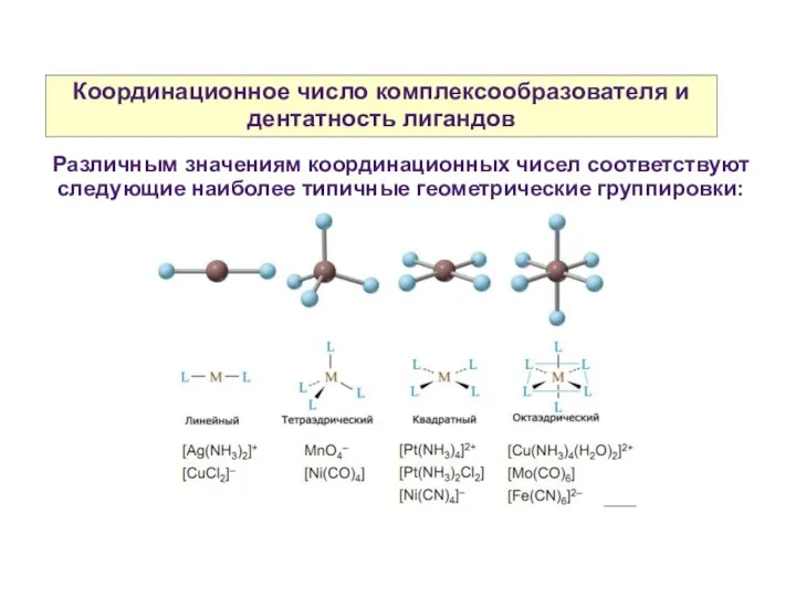 Координационное число комплексообразователя и дентатность лигандов Различным значениям координационных чисел соответствуют следующие наиболее типичные геометрические группировки: