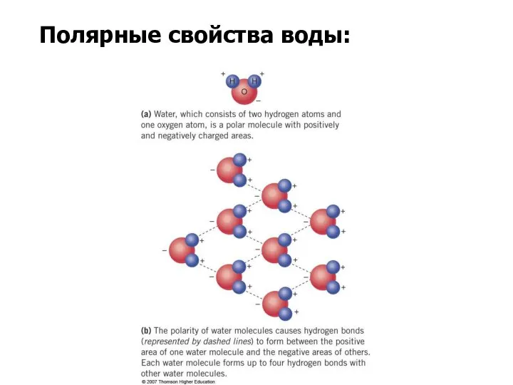 Полярные свойства воды: