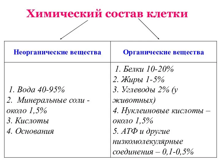 Химический состав клетки