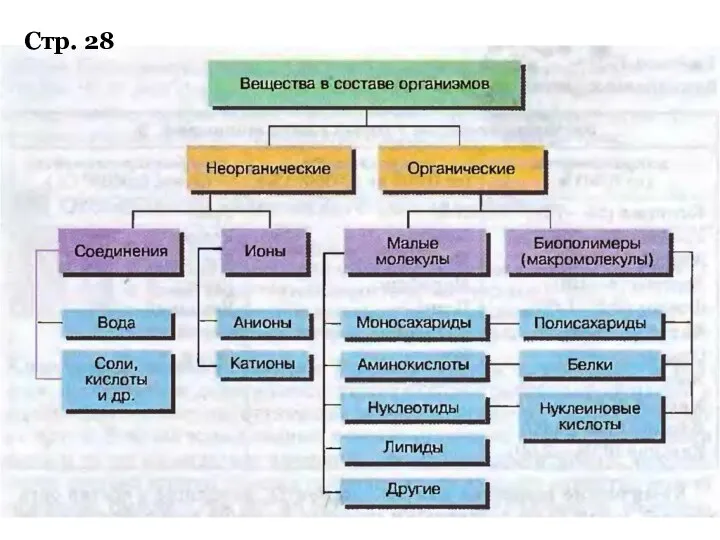 Стр. 28