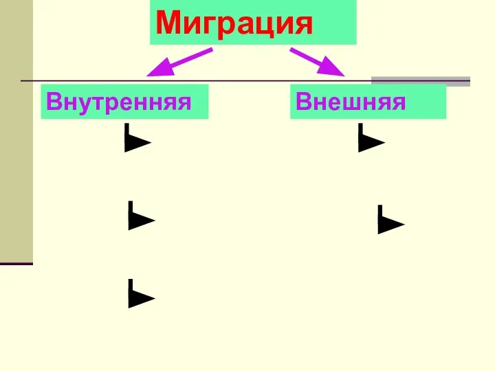 Миграция Внутренняя Внешняя