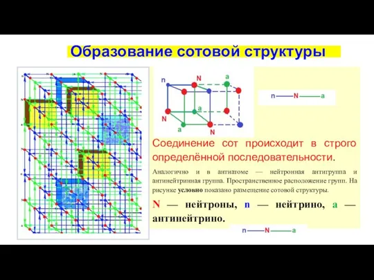 Образование сотовой структуры Соединение сот происходит в строго определённой последовательности. Аналогично