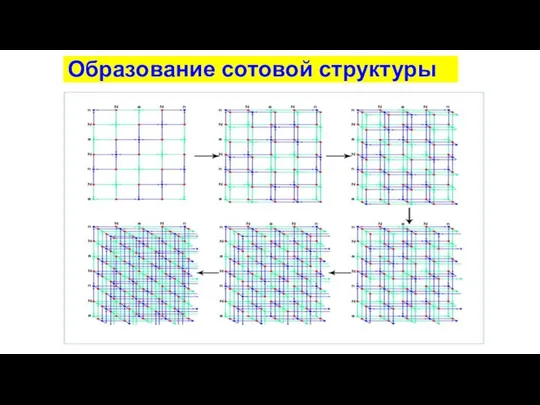 Образование сотовой структуры