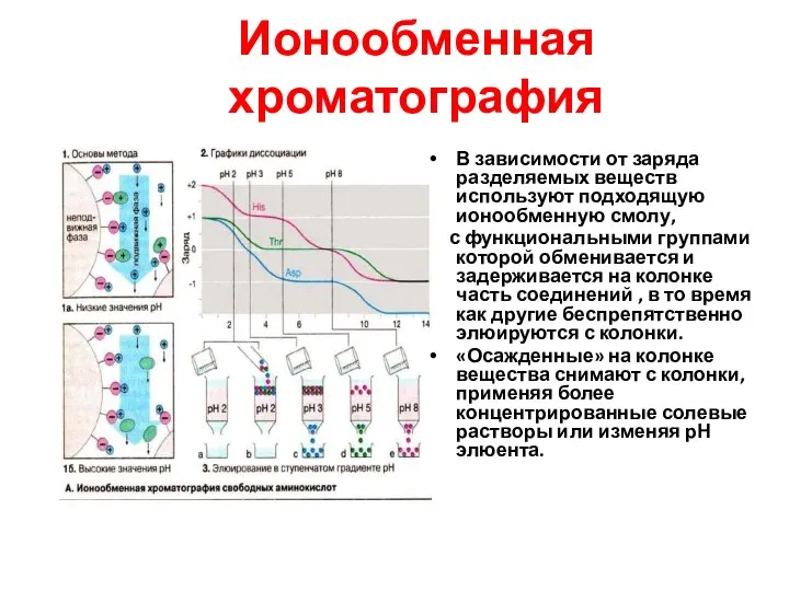 Ионообменная хроматография В зависимости от заряда разделяемых веществ используют подходящую ионообменную