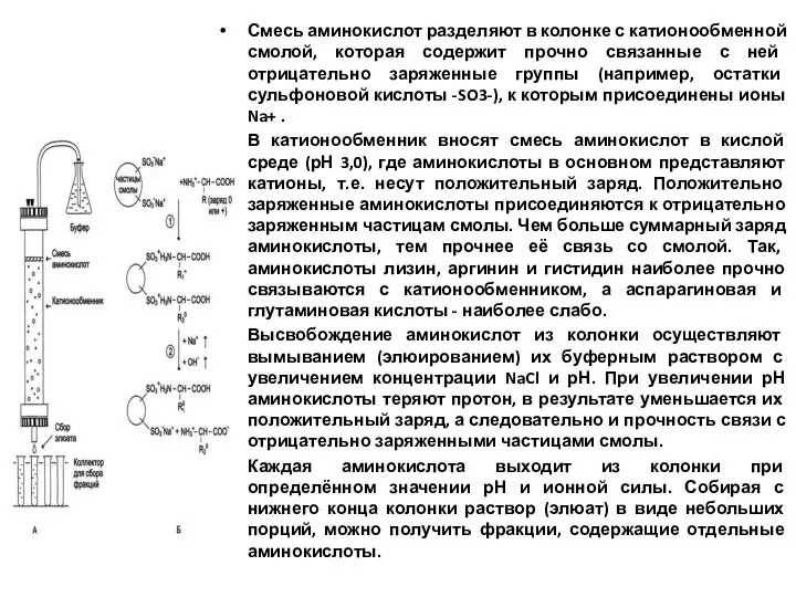 Смесь аминокислот разделяют в колонке с катионообменной смолой, которая содержит прочно