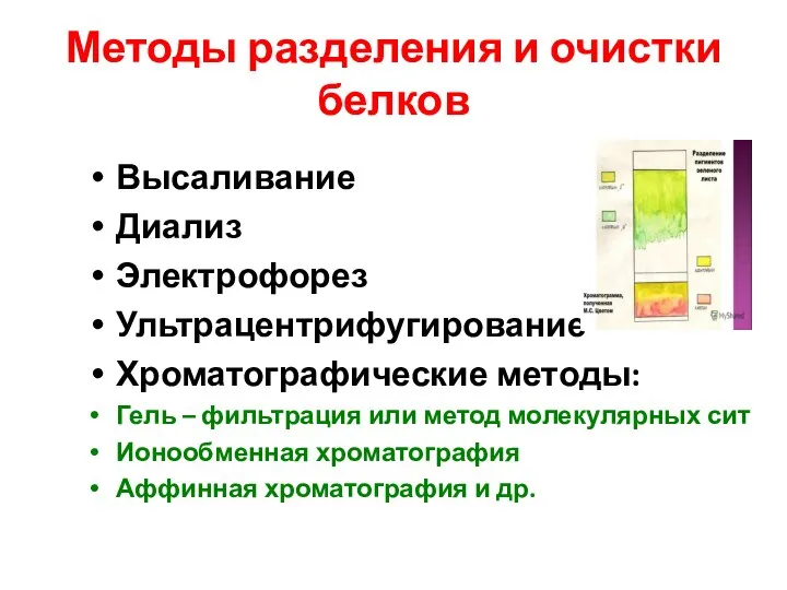 Методы разделения и очистки белков Высаливание Диализ Электрофорез Ультрацентрифугирование Хроматографические методы: