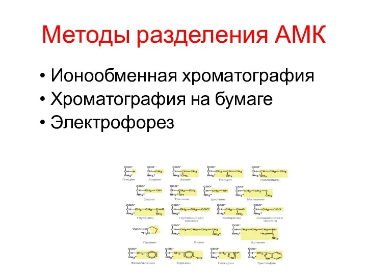 Методы разделения АМК Ионообменная хроматография Хроматография на бумаге Электрофорез