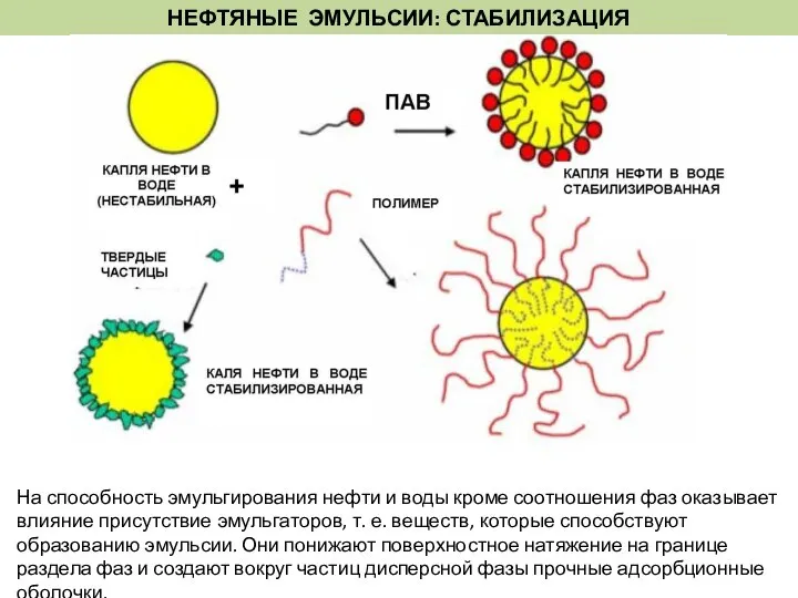 НЕФТЯНЫЕ ЭМУЛЬСИИ: СТАБИЛИЗАЦИЯ На способность эмульгирования нефти и воды кроме соотношения