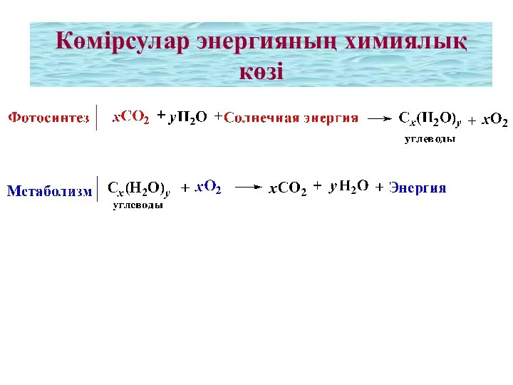 Көмірсулар энергияның химиялық көзі