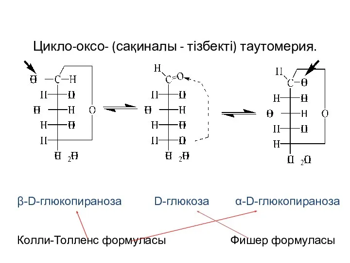 Цикло-оксо- (сақиналы - тізбекті) таутомерия. β-D-глюкопираноза D-глюкоза α-D-глюкопираноза Колли-Толленс формуласы Фишер формуласы