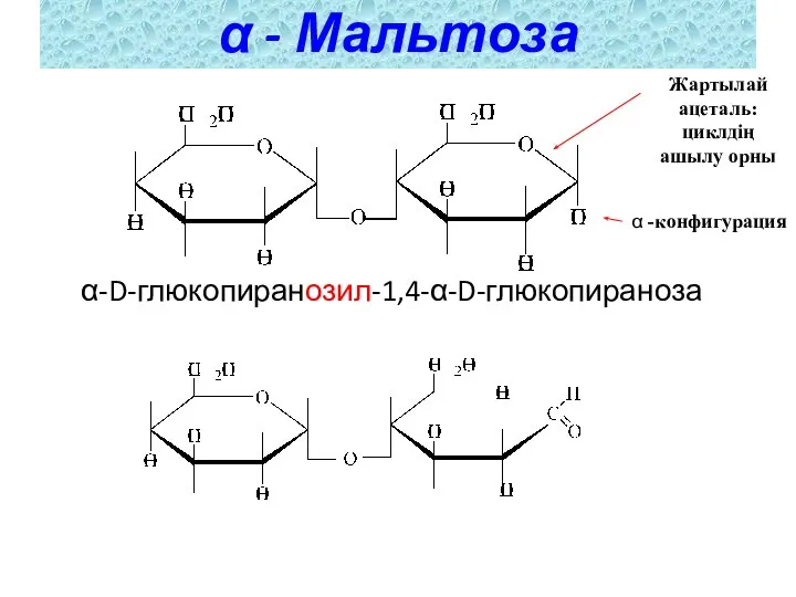 α-D-глюкопиранозил-1,4-α-D-глюкопираноза α - Мальтоза Жартылай ацеталь: циклдің ашылу орны α -конфигурация