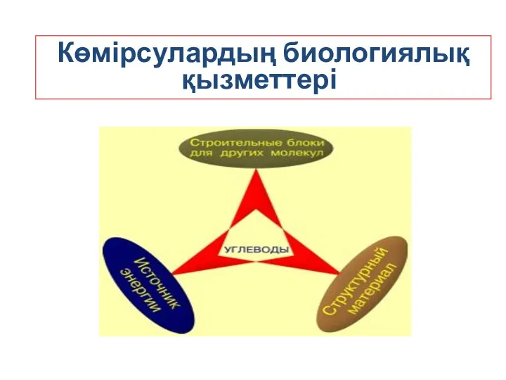 Көмірсулардың биологиялық қызметтері: