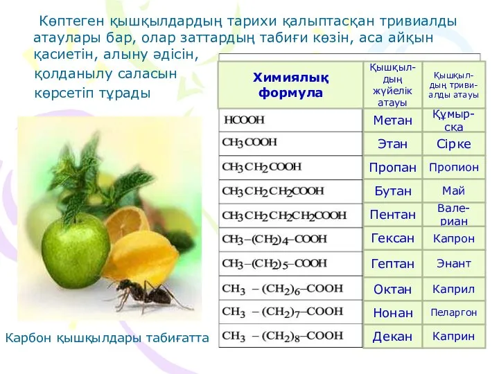 Көптеген қышқылдардың тарихи қалыптасқан тривиалды атаулары бар, олар заттардың табиғи көзін,