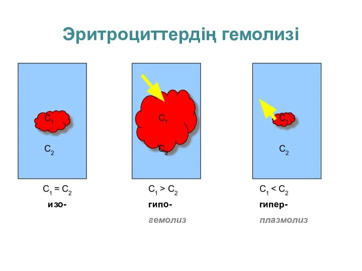 Эритроциттердің гемолизі