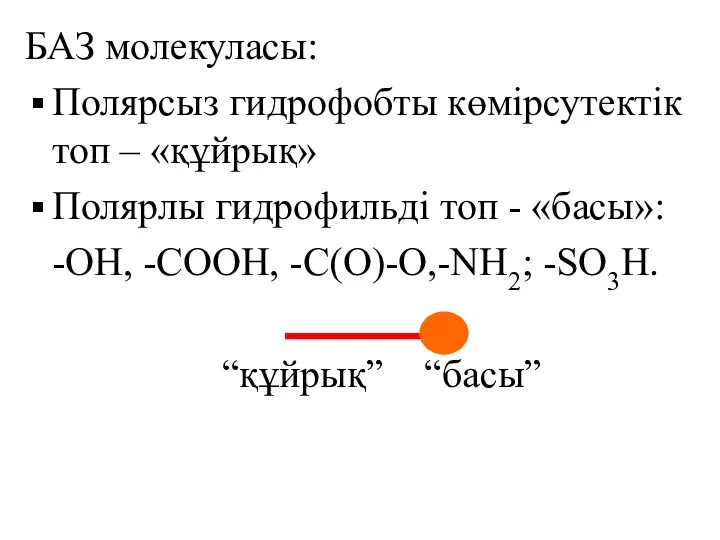 БАЗ молекуласы: Полярсыз гидрофобты көмірсутектік топ – «құйрық» Полярлы гидрофильді топ